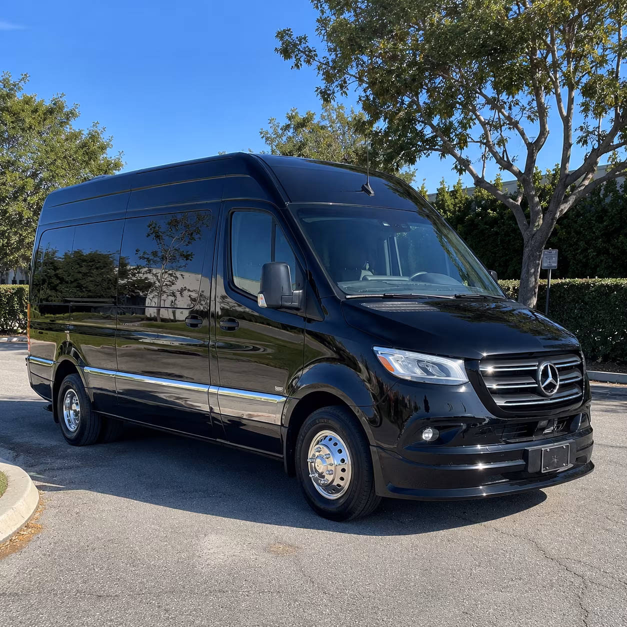 10 passenger sprinter van