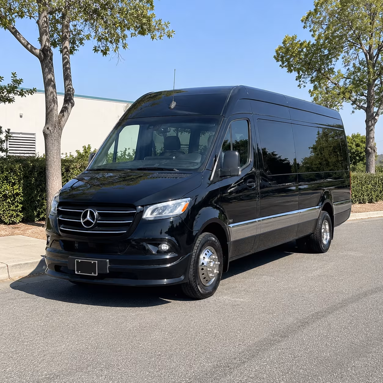 12 passenger sprinter van